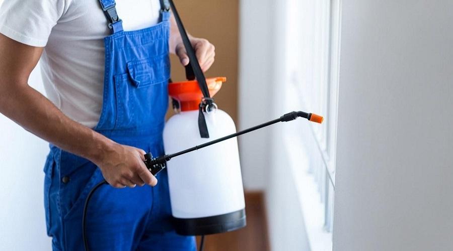 Top 20 Pest Control Tips From the Pros