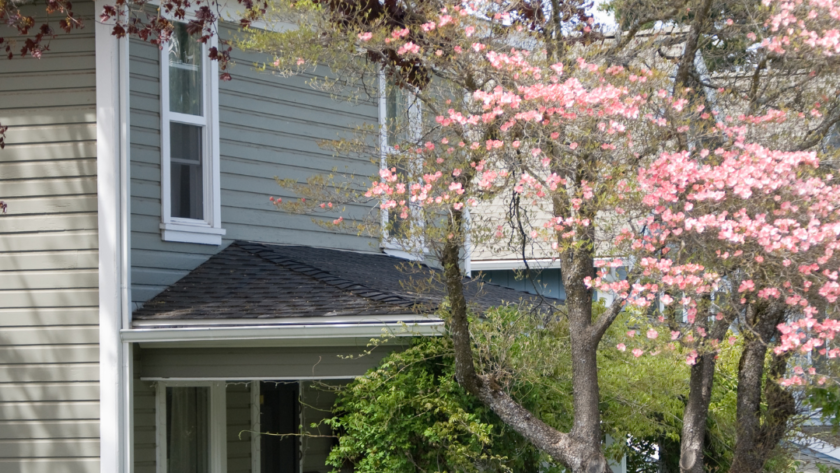 5 Quick Tips To Transform Your Home’s Exterior From Bland To Grand
