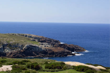 What to Know When Visiting Montague Island