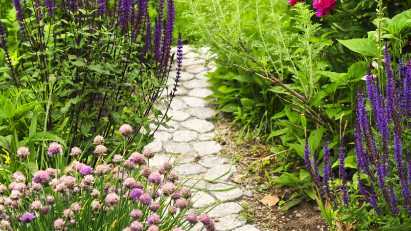 How To Create A Garden That Will Thrive
