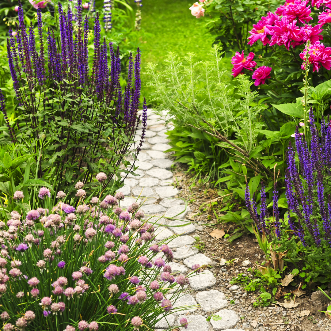 How To Create A Garden That Will Thrive