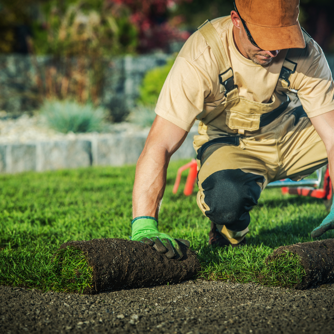 The Top # Things You Have to Know When Starting Your Own Landscaping Business