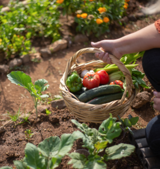 The Benefits of Home Gardening How Caring for Your Garden Can Make You Healthier
