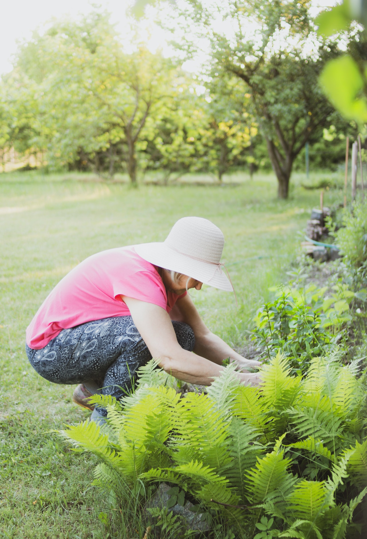 How To Make Your Garden More Welcoming