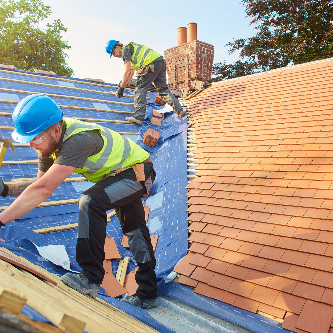 Signs that you need to get your roof repaired