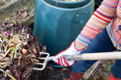 5 Gardening Tasks to Tackle During the Winter Months