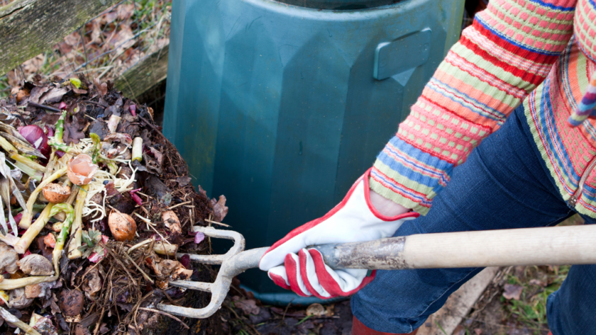 5 Gardening Tasks to Tackle During the Winter Months