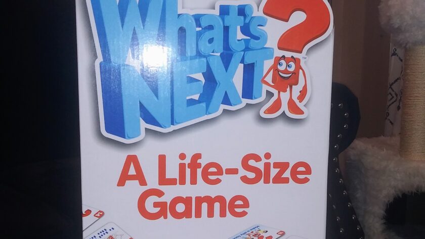 What’s Next A Life Sized Game Christmas Gifts 2023