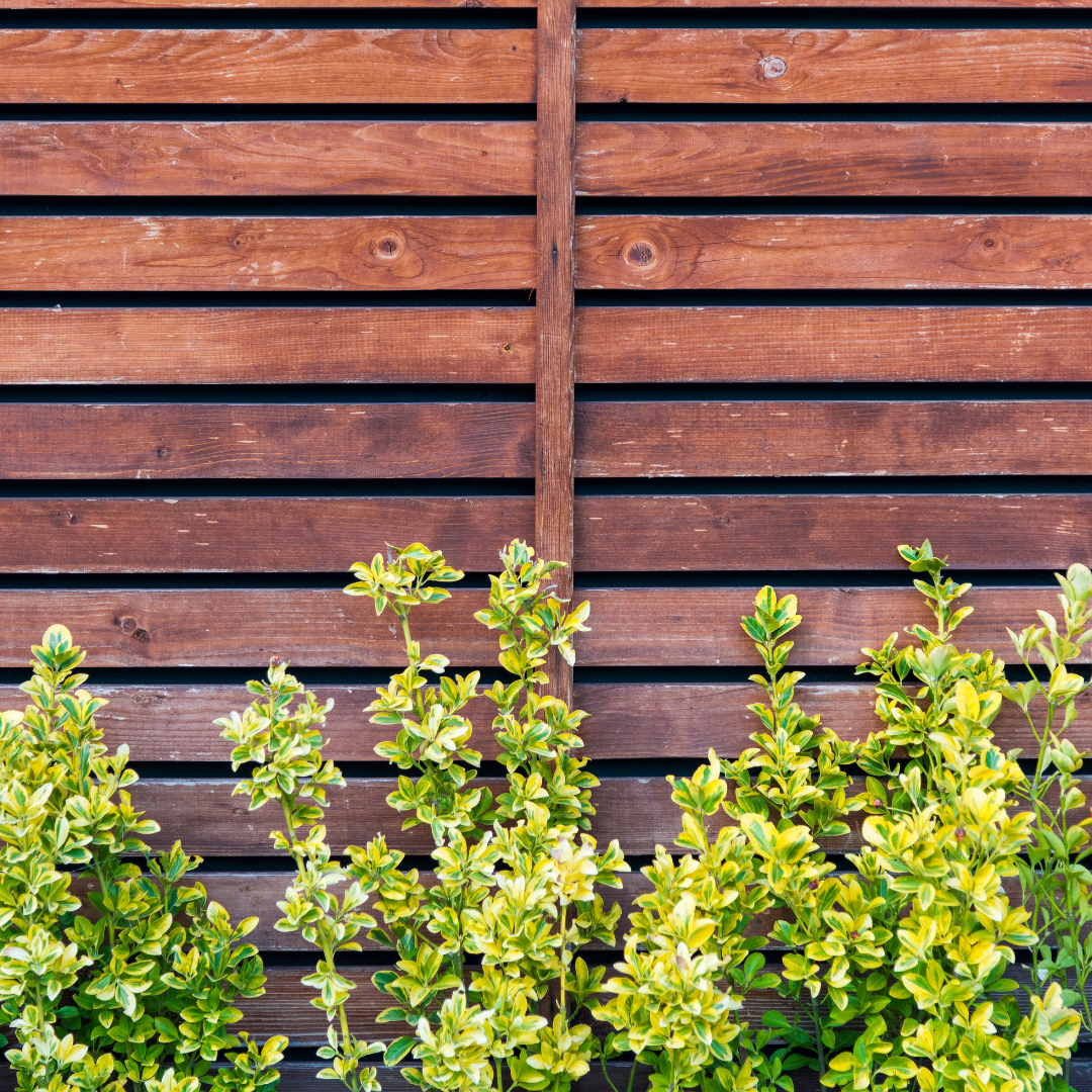 How to Create a Cozy Backyard with Clever Use of Fencing