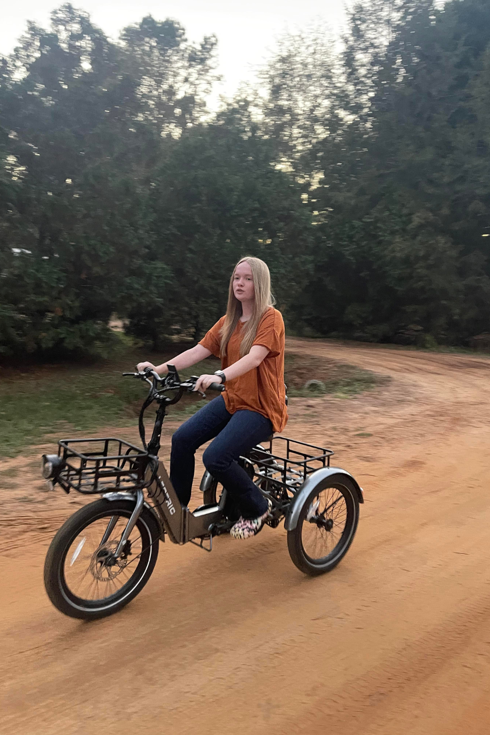 eTrike or eBikes from Lectric eBikes Christmas Gift Guide 2023