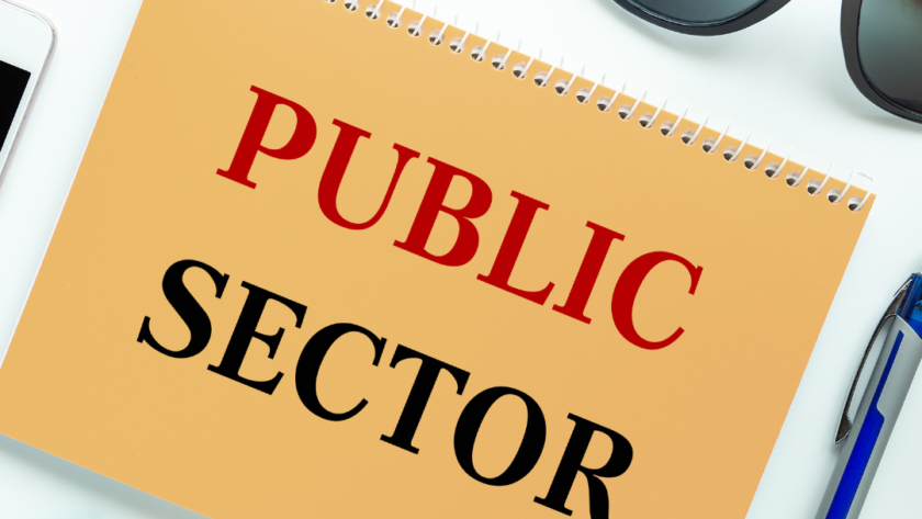 How to Improve the Performance of a Public Sector Organization?