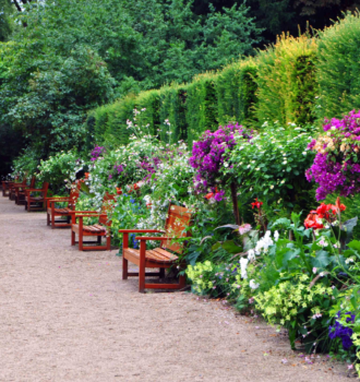 Creating Your Personalized Living Fence: A Haven of Privacy, Flowers, Plants, and Wildlife