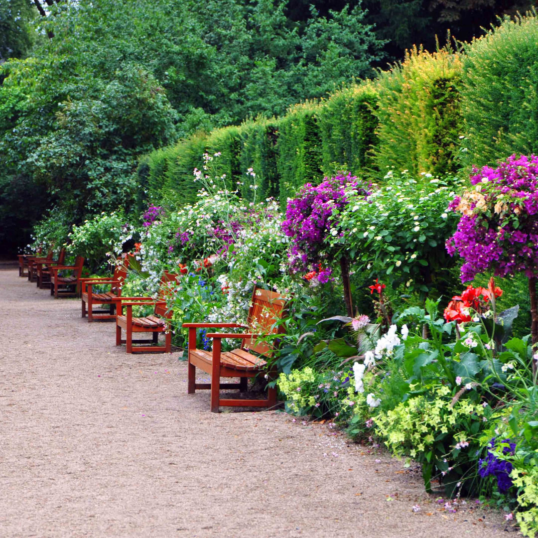 Creating Your Personalized Living Fence: A Haven of Privacy, Flowers, Plants, and Wildlife