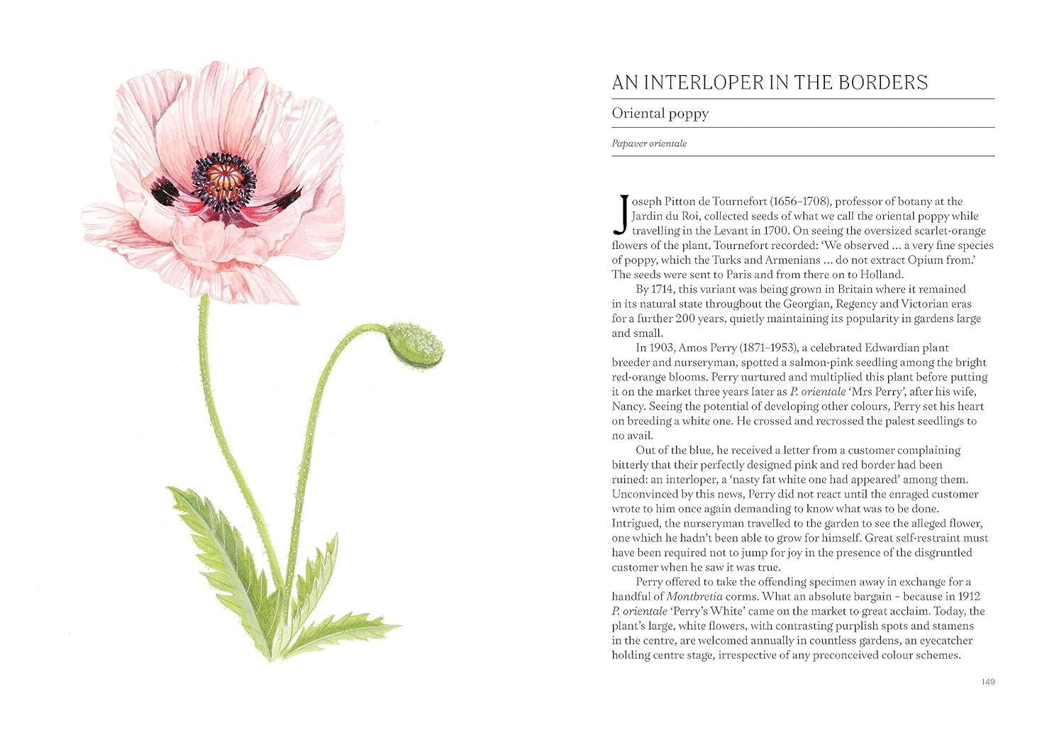 Unveiling Floral Wonders A Heartfelt Look into 'A Short History of Flowers